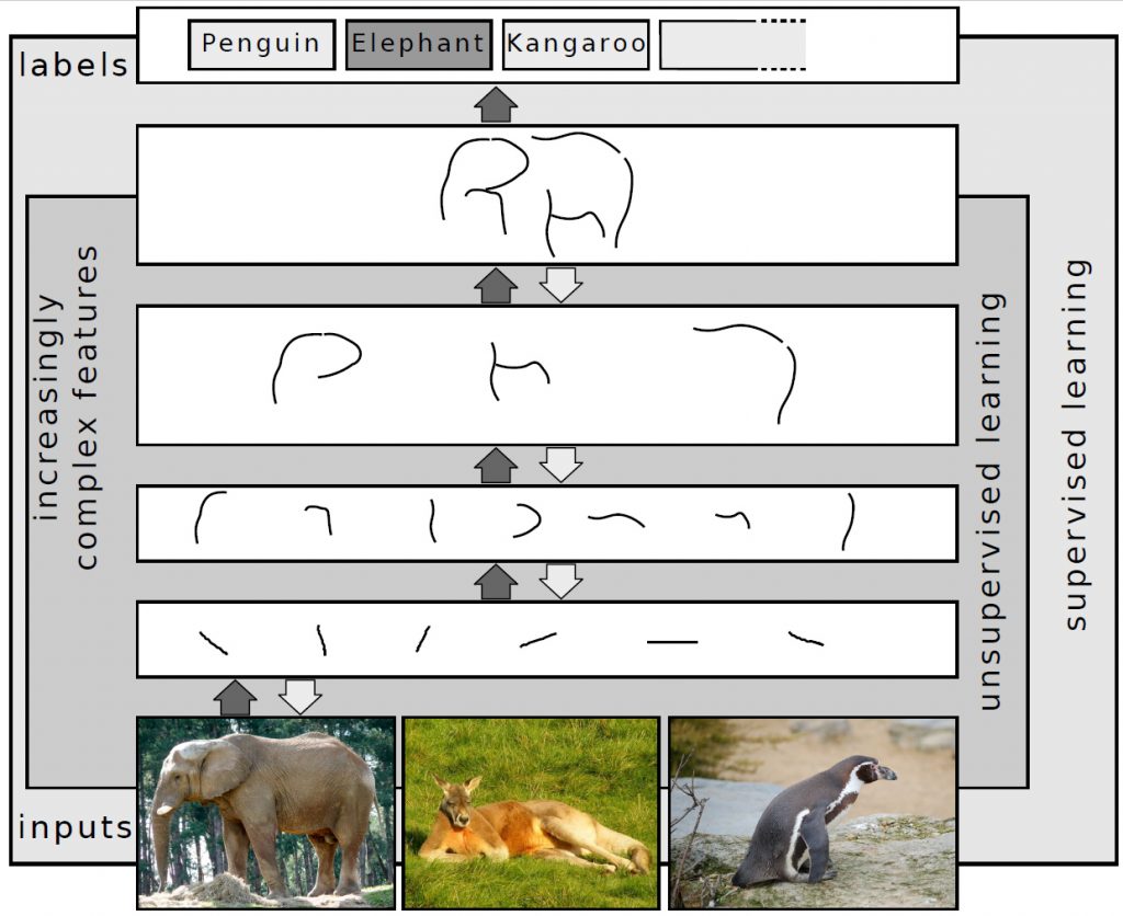 Darstellung von Deep LEarning in der Bilderkennung