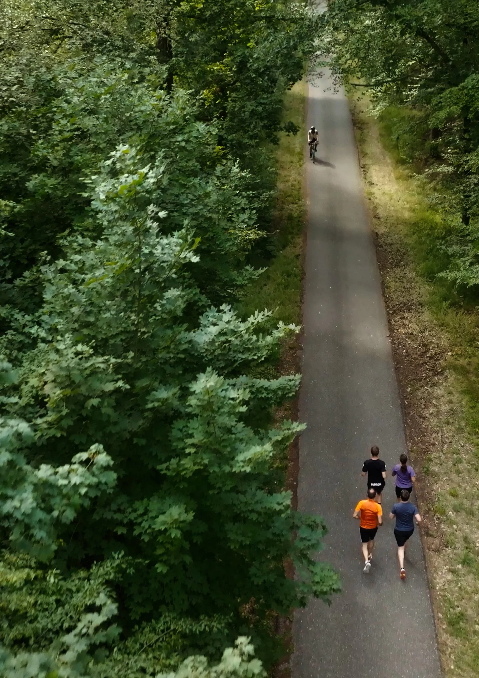 Ein Bild aus der Vogelperspektive, das den Waldweg mit Bäumen außen rum zeigt.